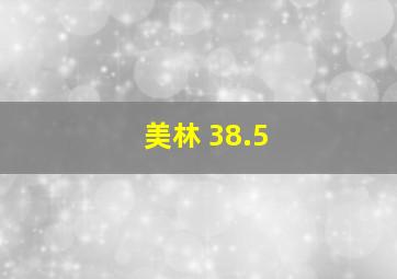 美林 38.5